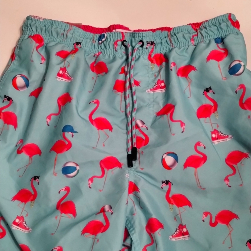 Broken Thread Swim Trunks 🦩🌊🏖️ NWT